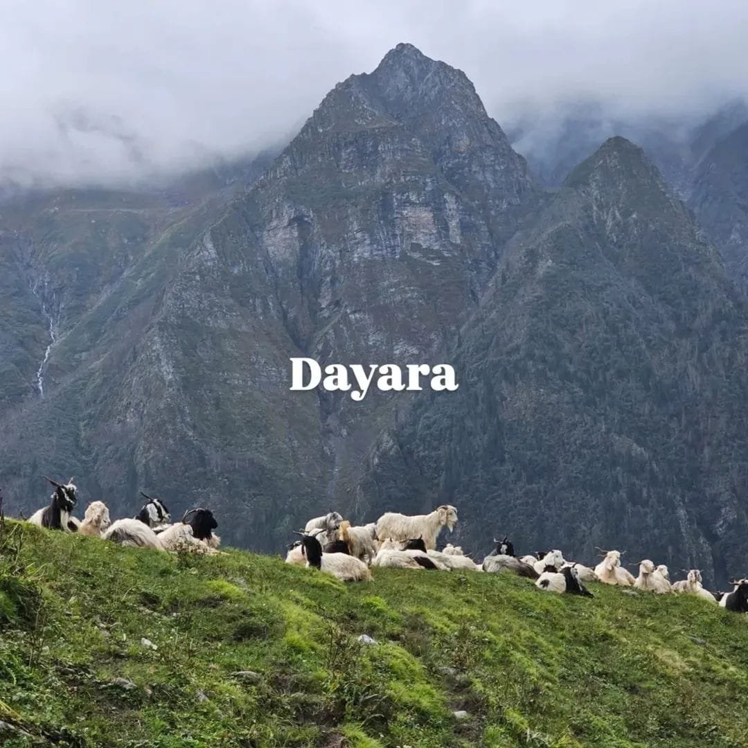 dayara